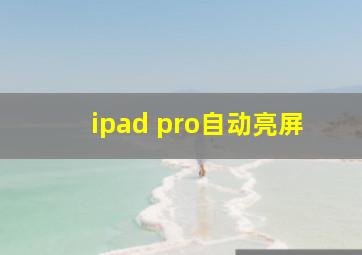 ipad pro自动亮屏